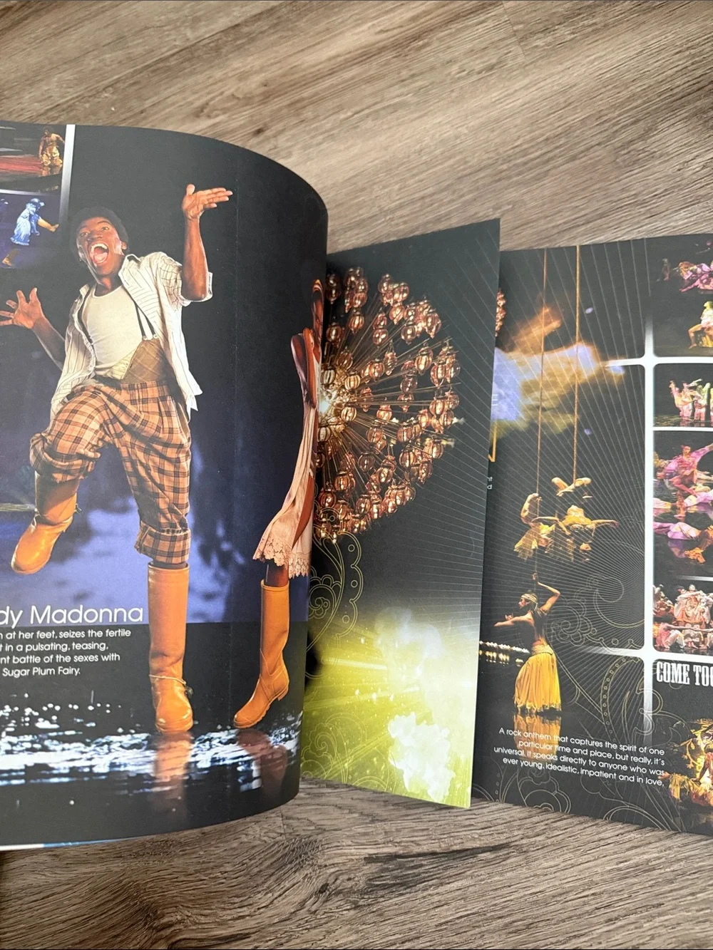 The Beatles LOVE Cirque du Soleil 2006 Souvenir Program Book The Mirage